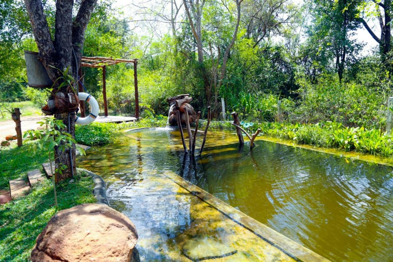 The Ibis - Wilpattu Vila Puttalam Exterior foto