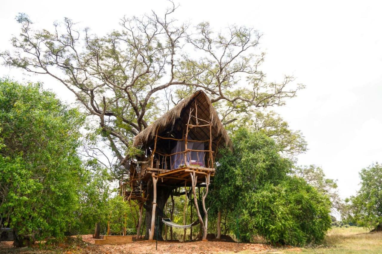 The Ibis - Wilpattu Vila Puttalam Exterior foto