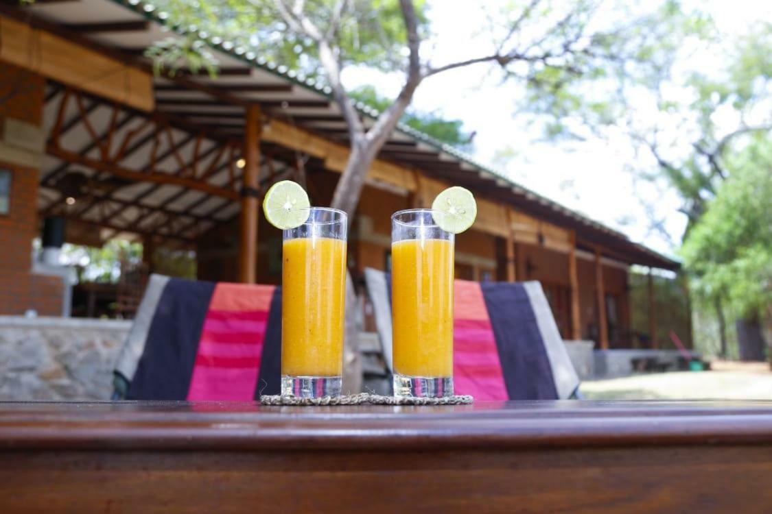 The Ibis - Wilpattu Vila Puttalam Exterior foto